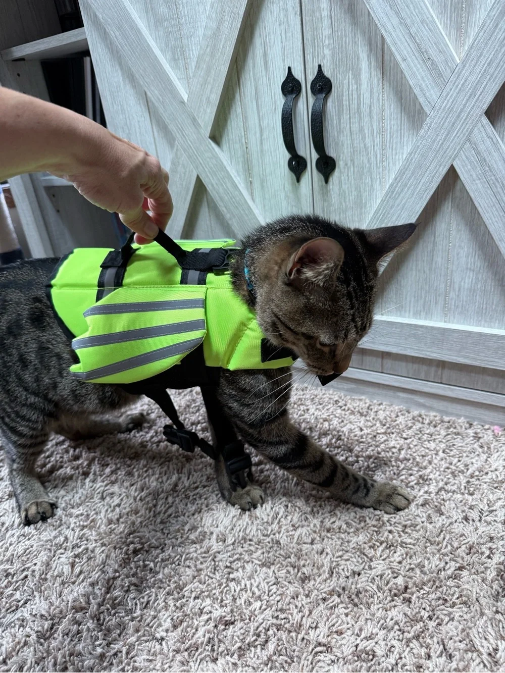 Life vest -XS- small dog or cat (with wings and handle) like new